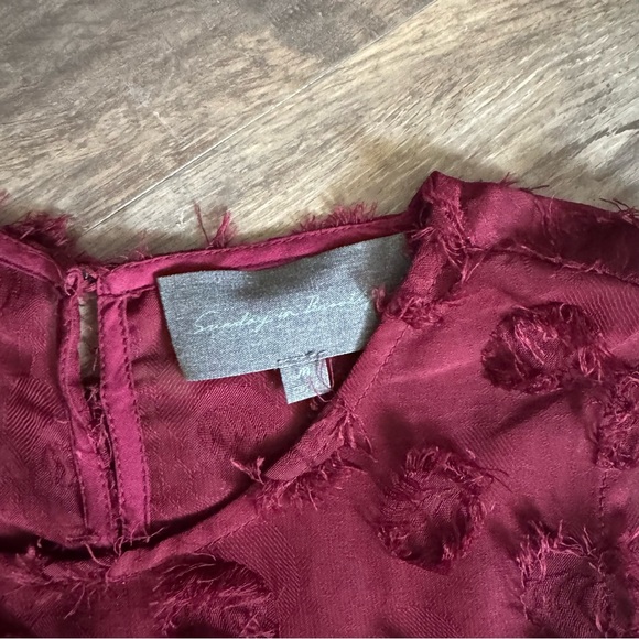 Anthropologie Deep Red Textured Sleeveless Top - Picture 3 of 5